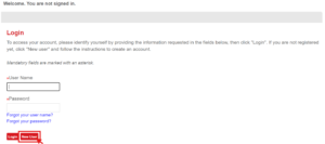 How to Apply for Emirates Cabin Crew Job Online: Step-by-Step ...