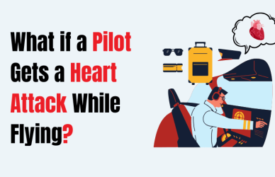 what if a pilot gets a heart attack while flying